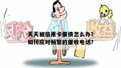 天天被信用卡催债怎么办？如何应对频繁的电话？