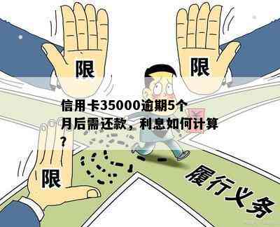 信用卡35000逾期5个月后需还款，利息如何计算？