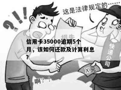 信用卡35000逾期5个月，该如何还款及计算利息？