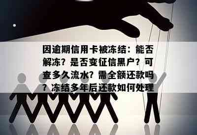 因逾期信用卡被冻结：能否解冻？是否变黑户？可查多久流水？需全额还款吗？冻结多年后还款如何处理？