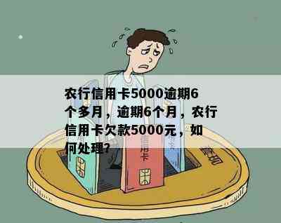 农行信用卡5000逾期6个多月，逾期6个月，农行信用卡欠款5000元，如何处理？