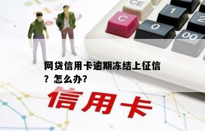 网贷信用卡逾期冻结上？怎么办？