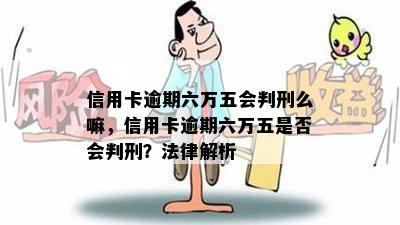 信用卡逾期六万五会判刑么嘛，信用卡逾期六万五是否会判刑？法律解析