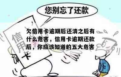 欠信用卡逾期后还清之后有什么危害，信用卡逾期还款后，你应该知道的五大危害！