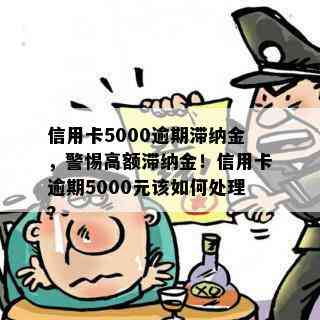 信用卡5000逾期滞纳金，警惕高额滞纳金！信用卡逾期5000元该如何处理？