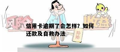 信用卡逾期了会怎样？如何还款及自救办法