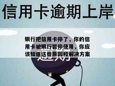 银行把信用卡停了，你的信用卡被银行暂停使用，你应该知道这些原因和解决方案