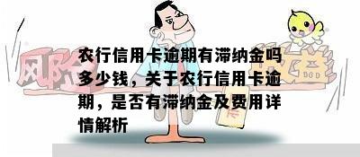 农行信用卡逾期有滞纳金吗多少钱，关于农行信用卡逾期，是否有滞纳金及费用详情解析