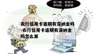 农行信用卡逾期有滞纳金吗-农行信用卡逾期有滞纳金吗怎么算