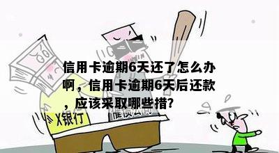 信用卡逾期6天还了怎么办啊，信用卡逾期6天后还款，应该采取哪些措？