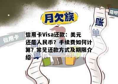 信用卡Visa还款：美元还是人民币？手续费如何计算？常见还款方式及期限介绍