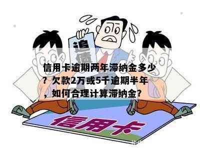 信用卡逾期两年滞纳金多少？欠款2万或5千逾期半年，如何合理计算滞纳金？