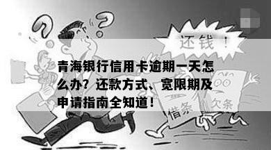 青海银行信用卡逾期一天怎么办？还款方式、宽限期及申请指南全知道！