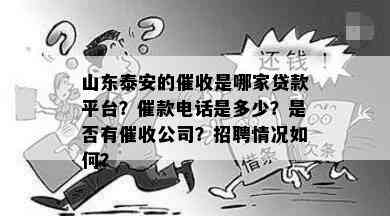 山东泰安的是哪家贷款平台？催款电话是多少？是否有公司？招聘情况如何？