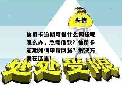 信用卡逾期可借什么网贷呢怎么办，急需借款？信用卡逾期如何申请网贷？解决方案在这里！