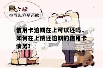 信用卡逾期在上可以还吗，如何在上偿还逾期的信用卡债务？