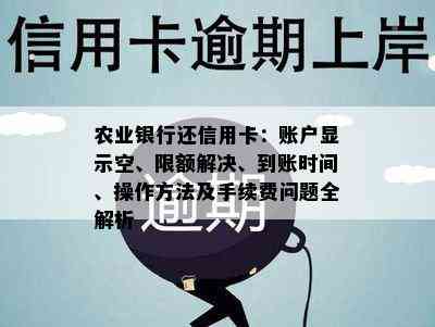 农业银行还信用卡：账户显示空、限额解决、到账时间、操作方法及手续费问题全解析