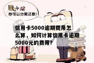 信用卡5000逾期费用怎么算，如何计算信用卡逾期5000元的费用？