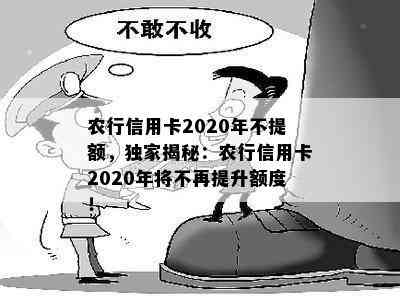 农行信用卡2020年不提额，独家揭秘：农行信用卡2020年将不再提升额度！