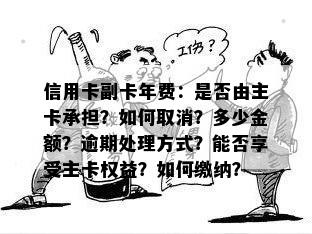 信用卡副卡年费：是否由主卡承担？如何取消？多少金额？逾期处理方式？能否享受主卡权益？如何缴纳？