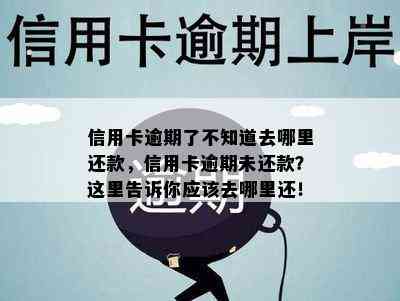 信用卡逾期了不知道去哪里还款，信用卡逾期未还款？这里告诉你应该去哪里还！