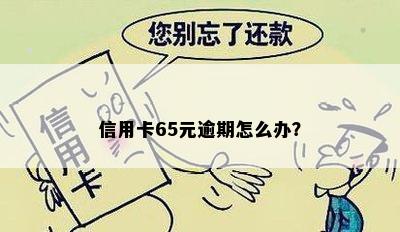 信用卡65元逾期怎么办？