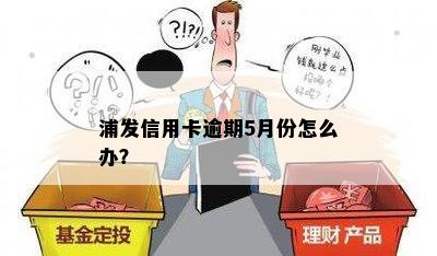 浦发信用卡逾期5月份怎么办？