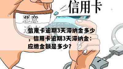 信用卡逾期3天滞纳金多少，信用卡逾期3天滞纳金：应缴金额是多少？