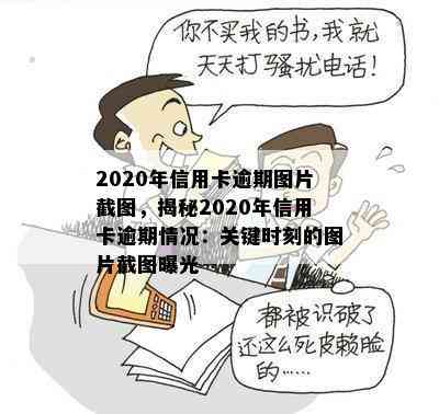 2020年信用卡逾期图片截图，揭秘2020年信用卡逾期情况：关键时刻的图片截图曝光