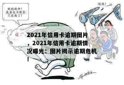 2021年信用卡逾期图片，2021年信用卡逾期情况曝光：图片揭示逾期危机！