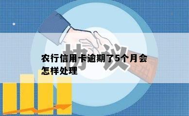 农行信用卡逾期了5个月会怎样处理