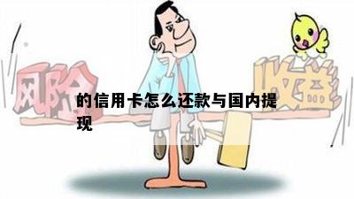 的信用卡怎么还款与国内提现