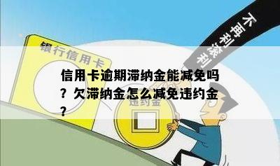 信用卡逾期滞纳金能减免吗？欠滞纳金怎么减免违约金？