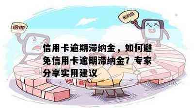 信用卡逾期滞纳金，如何避免信用卡逾期滞纳金？专家分享实用建议