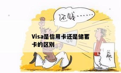 Visa是信用卡还是储蓄卡的区别