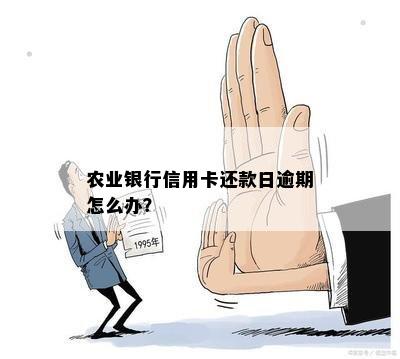 农业银行信用卡还款日逾期怎么办？