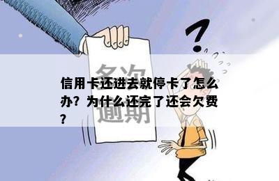 信用卡还进去就停卡了怎么办？为什么还完了还会欠费？