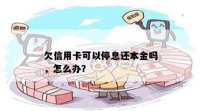 欠信用卡可以停息还本金吗，怎么办？