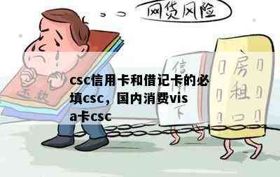 csc信用卡和借记卡的必填csc，国内消费visa卡csc