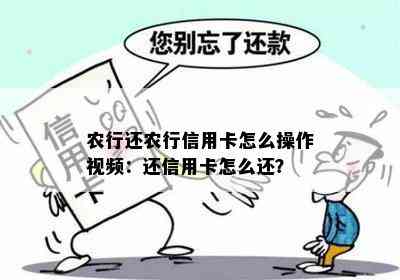 农行还农行信用卡怎么操作视频：还信用卡怎么还？