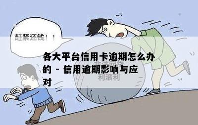 各大平台信用卡逾期怎么办的 - 信用逾期影响与应对