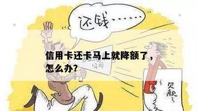 信用卡还卡马上就降额了，怎么办？