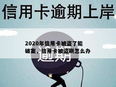 2020年信用卡被盗了能破案，信用卡被盗刷怎么办