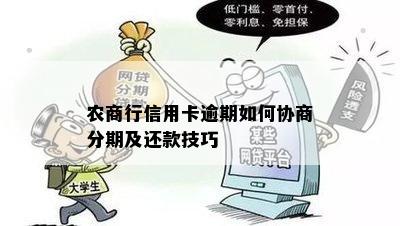 农商行信用卡逾期如何协商分期及还款技巧