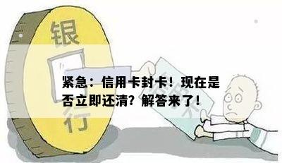 紧急：信用卡封卡！现在是否立即还清？解答来了！