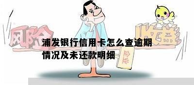 浦发银行信用卡怎么查逾期情况及未还款明细