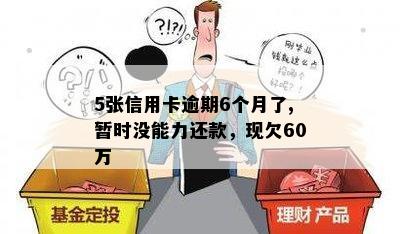 5张信用卡逾期6个月了,暂时没能力还款，现欠60万