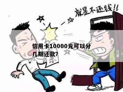 信用卡10000元可以分几期还款？