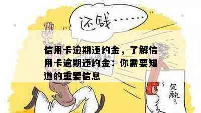 信用卡逾期违约金，了解信用卡逾期违约金：你需要知道的重要信息