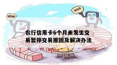 农行信用卡6个月未发生交易暂停交易原因及解决办法